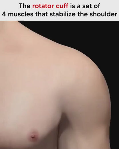 Shoulder Support Back Brace