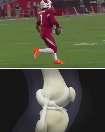 Adjustable Knee Cap (Support Brace for Knee)